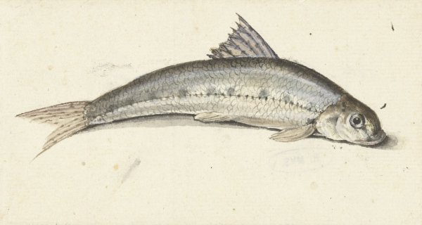 Main Product Photo of Gondel  Painting by Johannes Le Francq Van Berkhey