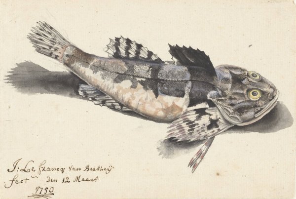 Main Product Photo of Zeedonderpad  Painting by Johannes Le Francq Van Berkhey