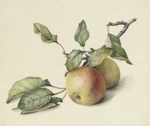 Twee appeltjes aan een tak by Johannes Reekers II Oil Painting