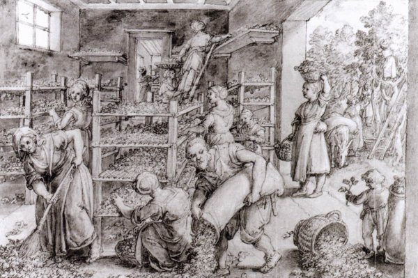 Main Product Photo of Silkworm Farm 2 Painting by Johannes Stradanus