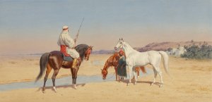 Desert Rider by John Alexander Harington Bird Oil Painting