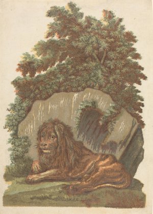The Lion by John Baptist Jackson Oil Painting