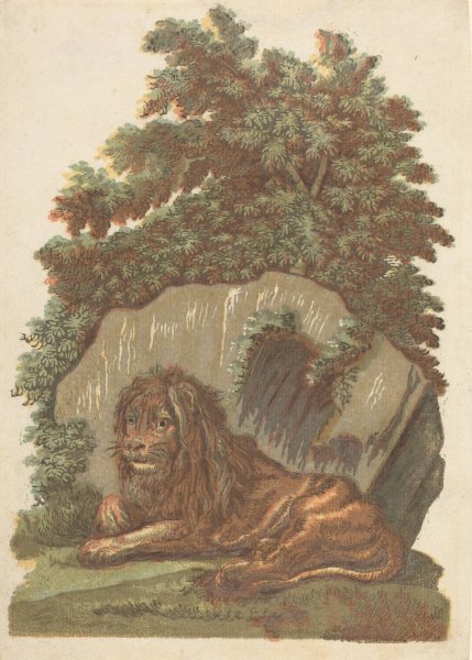 The Lion  by John Baptist Jackson - Hand-Painted Oil Painting Reproduction