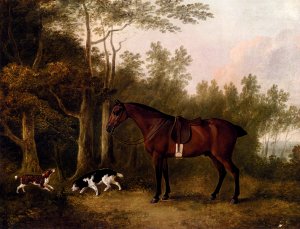 A Bay Hunter And Two Spaniels In A Landscape by John Boultbee Oil Painting