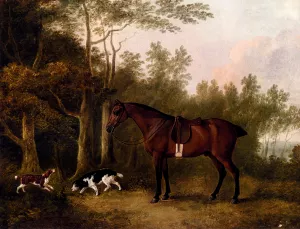 A Bay Hunter And Two Spaniels In A Landscape by John Boultbee - Oil Painting Reproduction