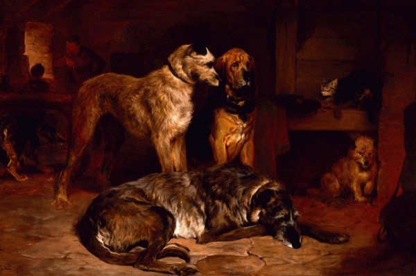 Main Product Photo of More Free Than Welcome  Painting by John Charlton