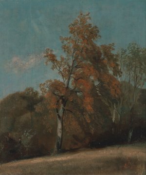 Study of an Ash Tree by John Constable Oil Painting