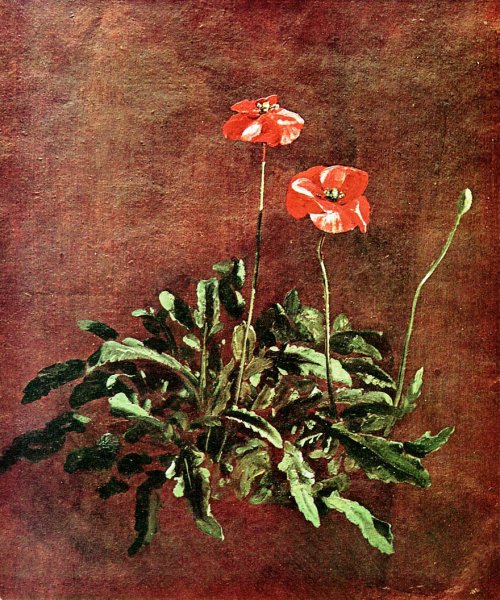 Study of Poppies by John Constable - Hand-Painted Oil Painting Reproduction