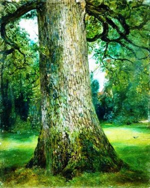 Study of the Trunk of an Elm Tree Oil painting by John Constable