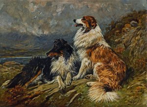 Collies on the Moor by John Emms Oil Painting