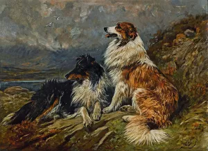 Collies on the Moor by John Emms Oil Painting