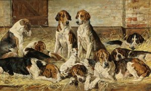 Hounds At Rest by John Emms Oil Painting