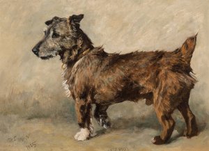 Sandy Oil painting by John Emms