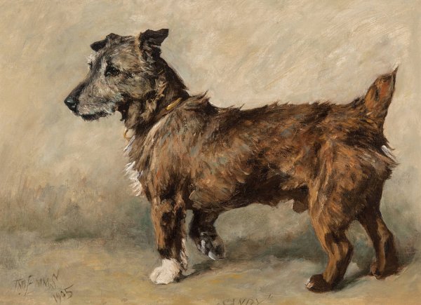 Sandy  by John Emms - Hand-Painted Oil Painting Reproduction