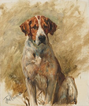 Study of a Hound by John Emms Oil Painting