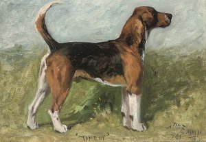 Tomboy, a beagle in a landscape by John Emms Oil Painting