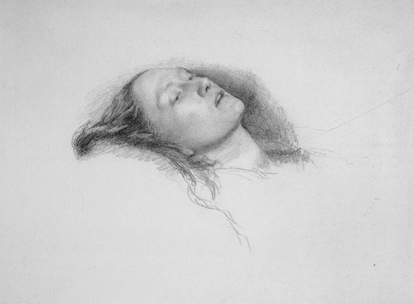 Main Product Photo of Ophelia Study - Elizabeth Siddall Painting by John Everett Millais