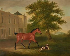 A chestnut horse and a hound outside Humewood Manor, co. Wicklow by John Ferneley Oil Painting
