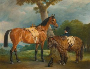 Lady Thorold's Hunter And Shetland Pony With Groom by John Ferneley Oil Painting