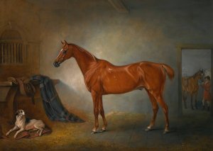 Lord Henry Bentinck's Chestnut Hunter Firebird And Policy, A Foxhound, In A Loose Box by John Ferneley Oil Painting