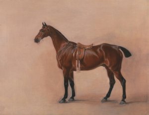 Study of a Saddled Bay Hunter by John Ferneley Oil Painting