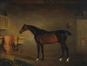 The Bay Easton In His Stable by John Ferneley Oil Painting