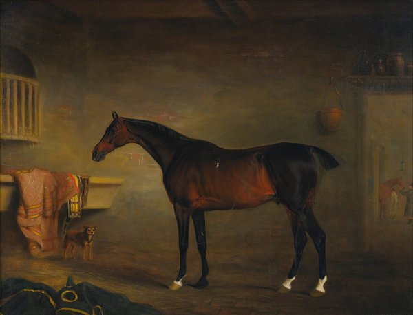 The Bay Easton In His Stable  by John Ferneley - Hand-Painted Oil Painting Reproduction