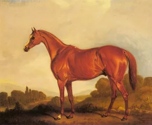 A Portrait of the Racehorse Harkaway, the Winner of the 1838 Goodwood Cup by John Ferneley Snr. - Oil Painting Reproduction