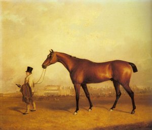 Emlius, Winter of the 1832 Derby, Held by a Groom at Doncaster