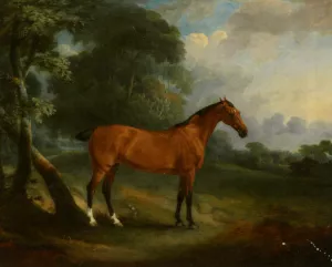 Hunter In Wooded Landscape by John Ferneley Snr. - Oil Painting Reproduction