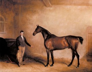 Mr. C. N. Hogg's Claxton and a Groom in a Stable