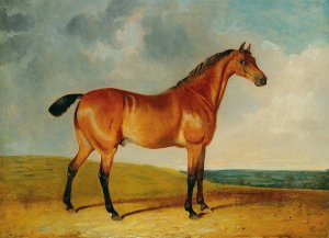 A bay horse in a vast landscape Oil painting by John Frederick Herring Jr.