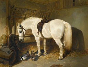 A Grey Pony In A Stable With Ducks by John Frederick Herring Snr. Oil Painting