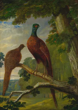 A Pheasant Cock And Hen by John Frederick Herring Snr. Oil Painting