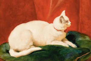 A White Cat by John Frederick Herring Snr. Oil Painting