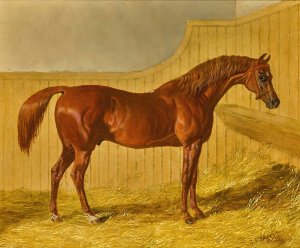Actaeon by John Frederick Herring Snr. Oil Painting