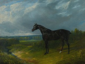 Black Hunter In A Landscape by John Frederick Herring Snr. Oil Painting