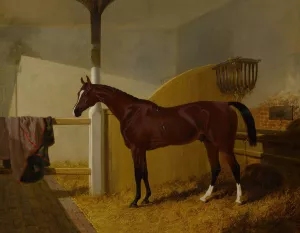 Colonel Peel's Orlando in a Stable Oil painting by John Frederick Herring Snr.