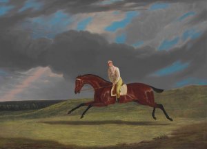 Corduroy, a Bay Racehorse, with a Jockey up, Galloping on a Racecourse by John Frederick Herring Snr. Oil Painting