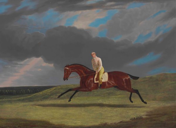 Corduroy, a Bay Racehorse, with a Jockey up, Galloping on a Racecourse by John Frederick Herring Snr. - Hand-Painted Oil Painting Reproduction