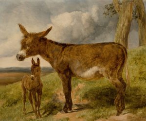 Donkeys by John Frederick Herring Snr. Oil Painting