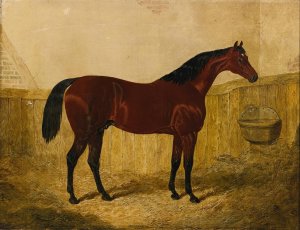 Emilius by John Frederick Herring Snr. Oil Painting