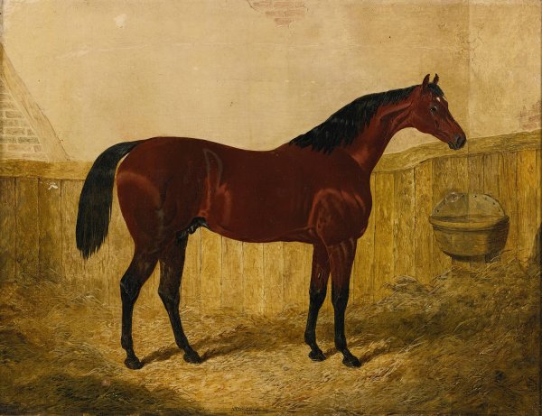 Emilius  by John Frederick Herring Snr. - Hand-Painted Oil Painting Reproduction