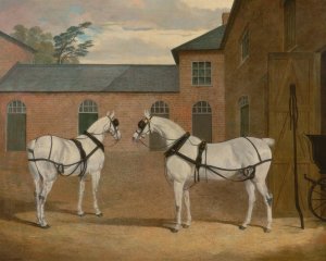 Grey carriage horses in the coachyard at Putteridge Bury, Hertfordshire by John Frederick Herring Snr. Oil Painting