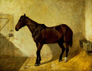 Horse by John Frederick Herring Snr. Oil Painting
