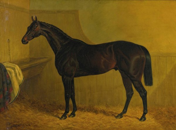 Lottery by John Frederick Herring Snr. - Hand-Painted Oil Painting Reproduction