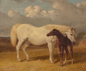 Mare and foal by John Frederick Herring Snr. Oil Painting