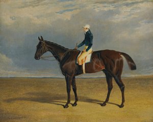 Margrave, A Liver Chestnut Racehorse With Jockey James Robinson Up, At Doncaster by John Frederick Herring Snr. Oil Painting