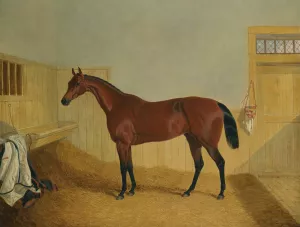 Mr William Orde's Bay Filly Beeswing In A Stable by John Frederick Herring Snr. Oil Painting