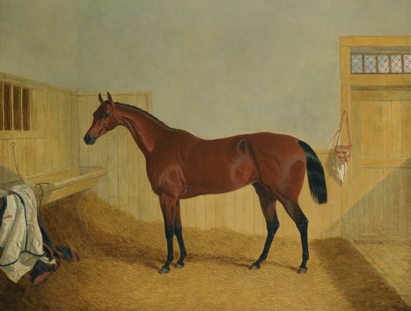Mr William Orde's Bay Filly Beeswing In A Stable  by John Frederick Herring Snr. - Hand-Painted Oil Painting Reproduction